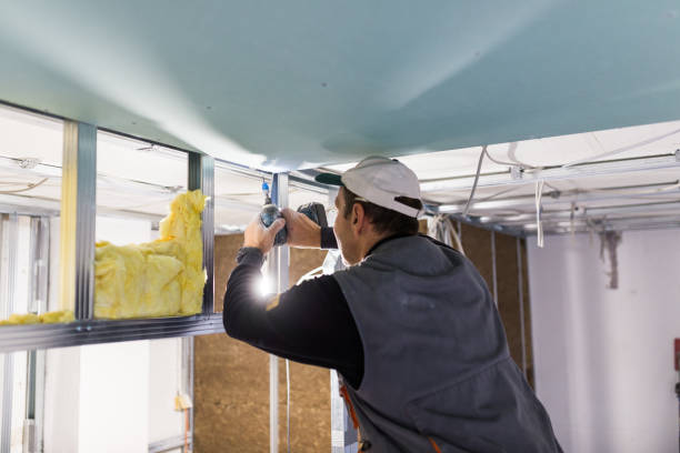 Insulation Repair Services in Cedaredge, CO