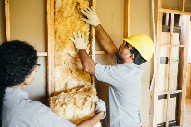 Best Spray Foam Insulation  in Cedaredge, CO