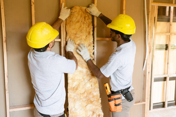 Best Insulation Replacement Services  in Cedaredge, CO