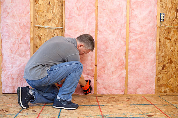 Best Blown-in Insulation  in Cedaredge, CO